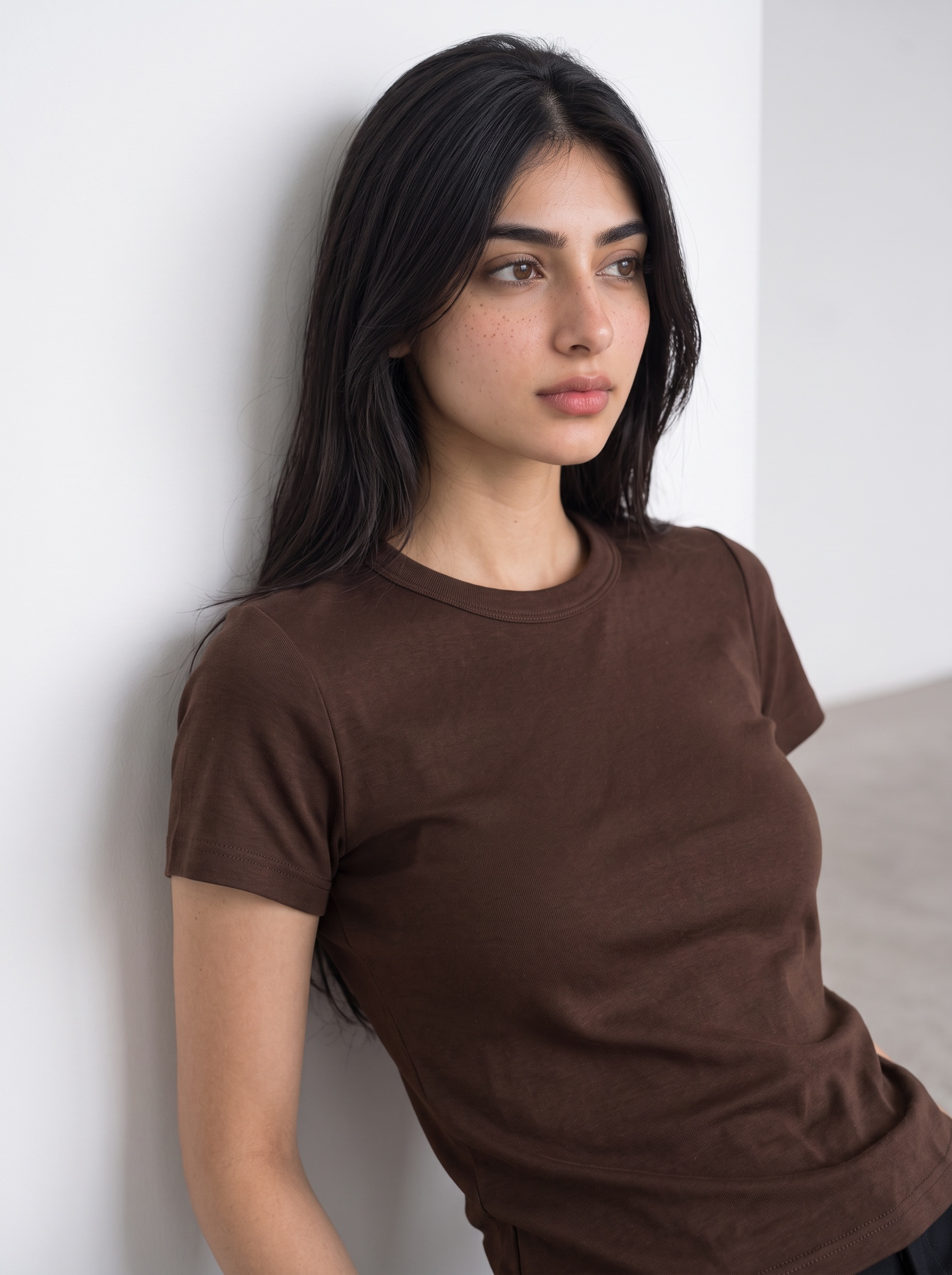 Regular Fit Cotton T-Shirt (Brown)